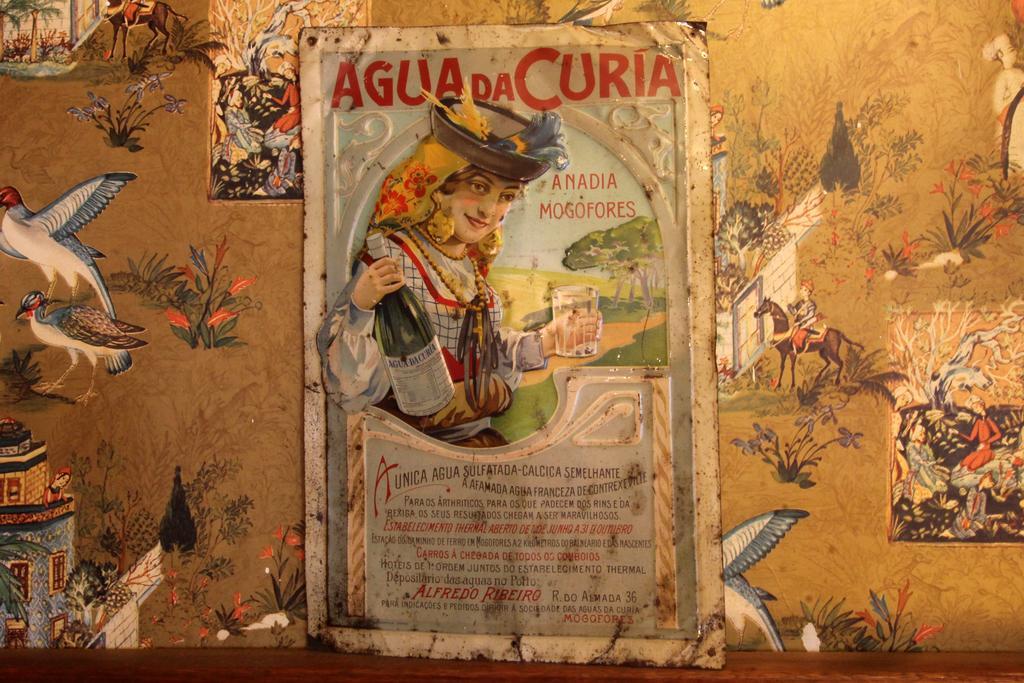 Hotel Do Parque, Boutique - Curia